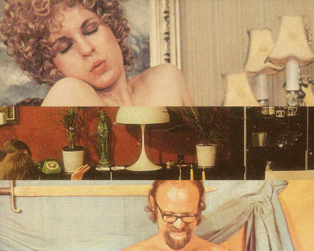 70s Danish Interior Design Porno Style - Dangerous Minds 01