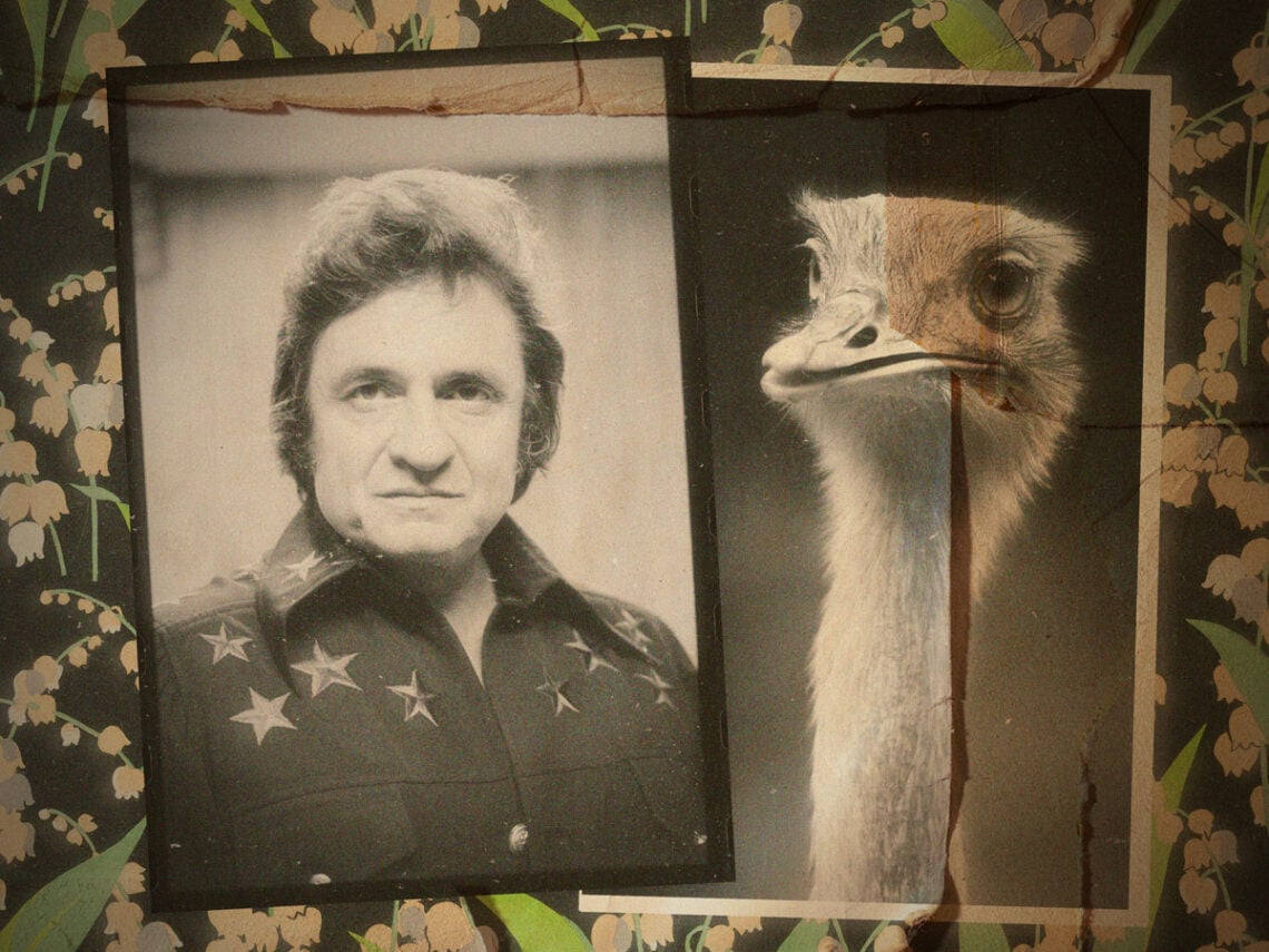 How Johnny Cash was nearly killed by an ostrich in 1981