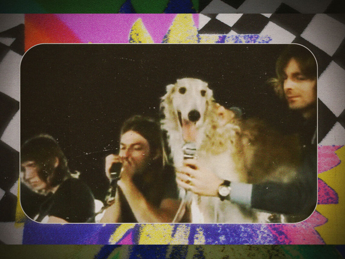 That time a dog named Seamus joined Pink Floyd in 1971