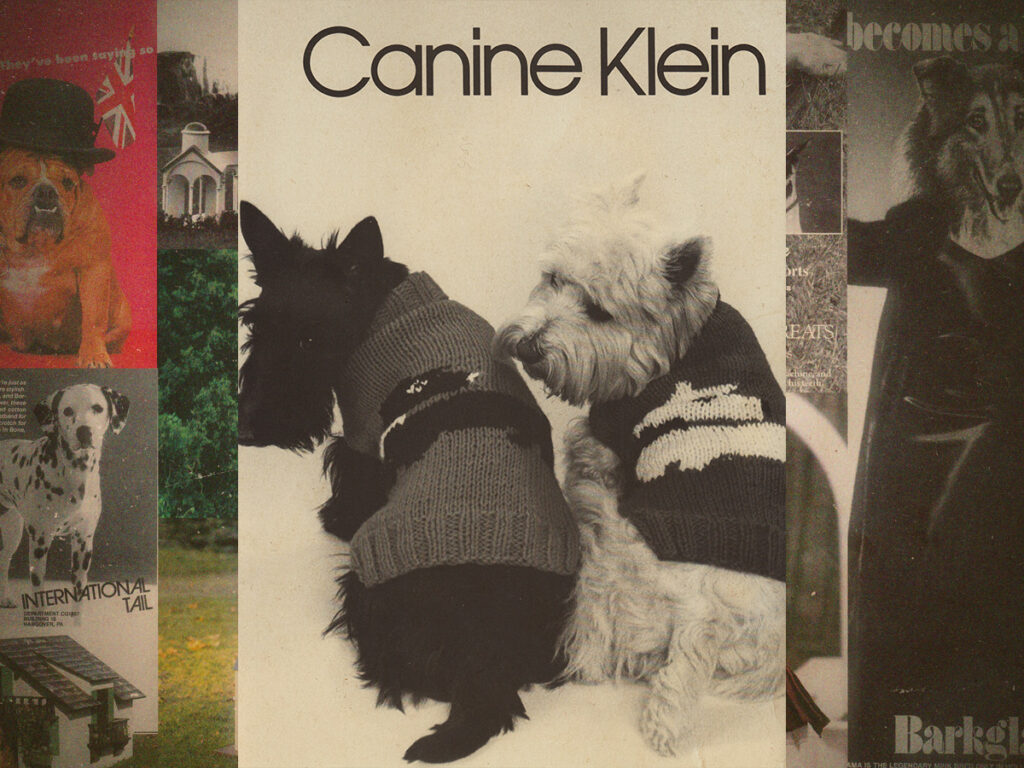 The hilarious dog parody ads of ‘Canine Quarterly’ and ‘Dogue’
