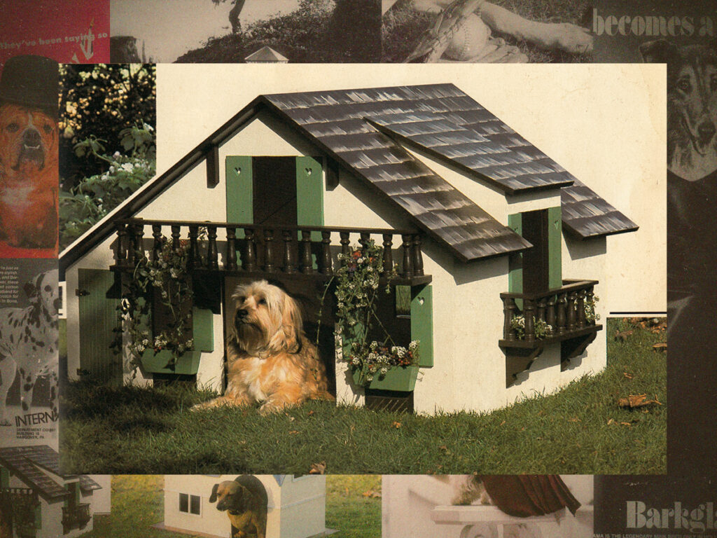 The hilarious dog parody ads of ‘Canine Quarterly’ and ‘Dogue’