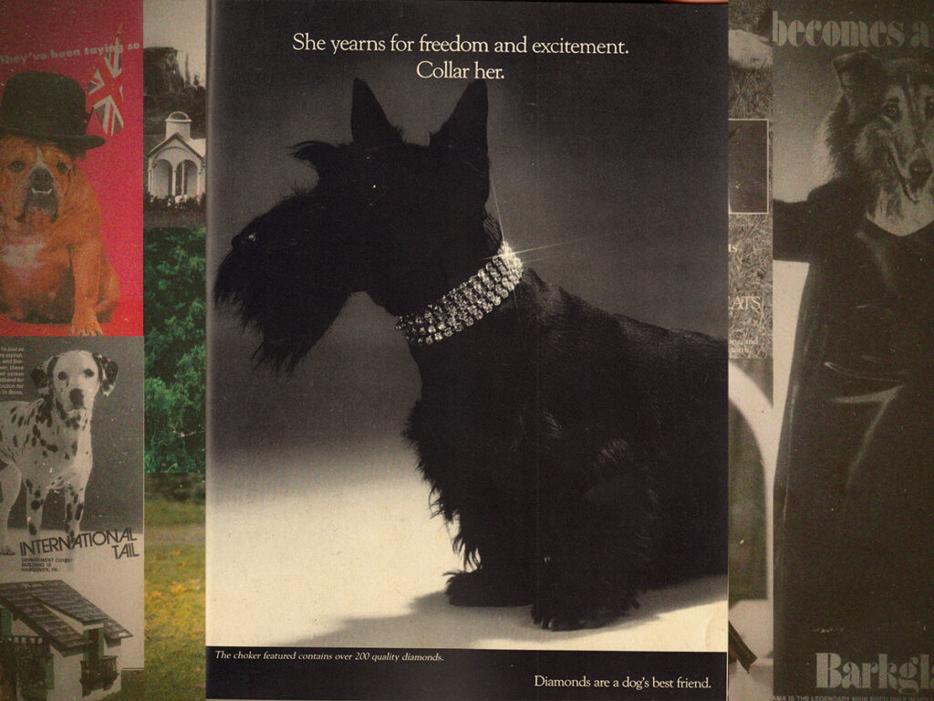 The hilarious dog parody ads of ‘Canine Quarterly’ and ‘Dogue’