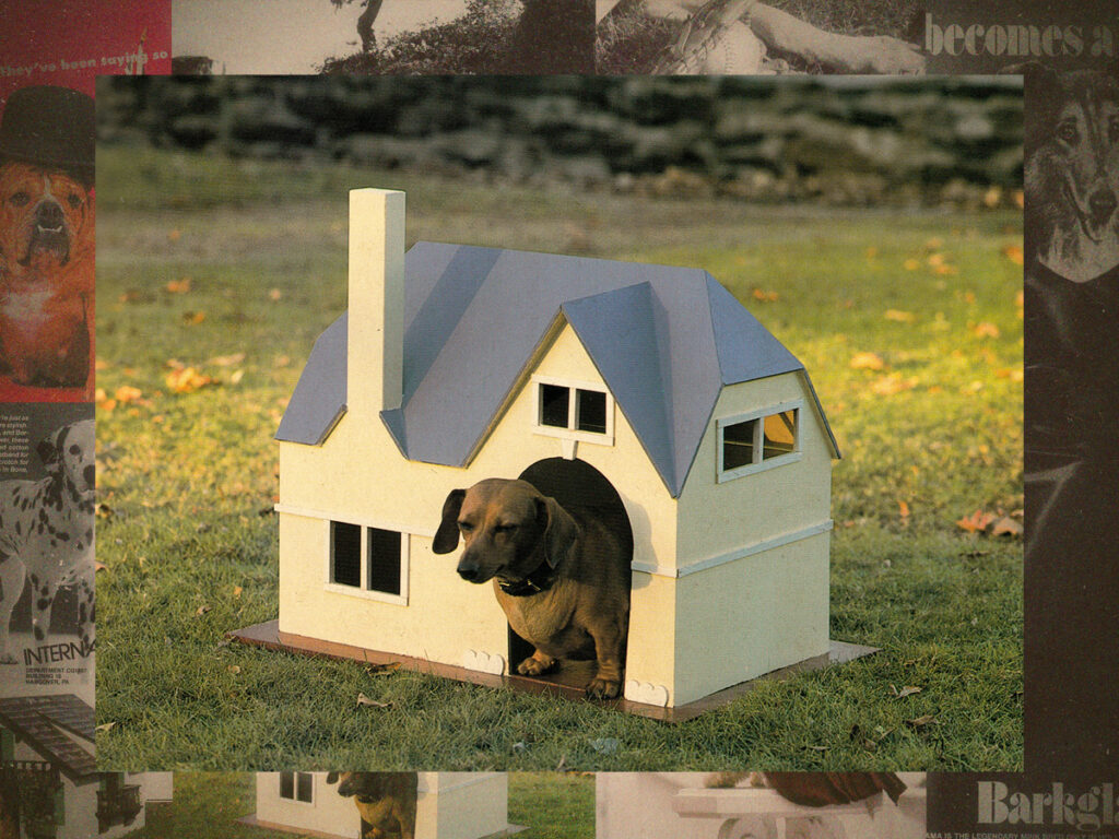 The hilarious dog parody ads of ‘Canine Quarterly’ and ‘Dogue’