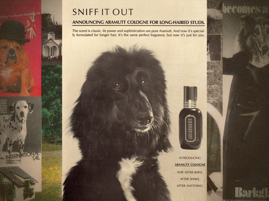 The hilarious dog parody ads of ‘Canine Quarterly’ and ‘Dogue’