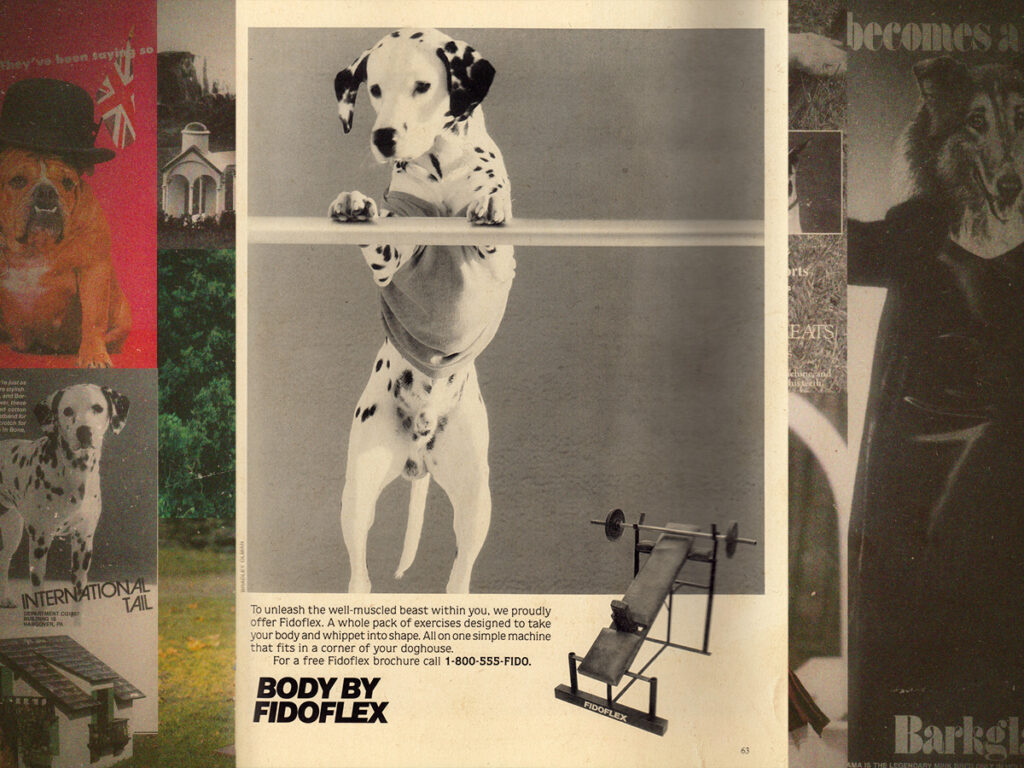 The hilarious dog parody ads of ‘Canine Quarterly’ and ‘Dogue’
