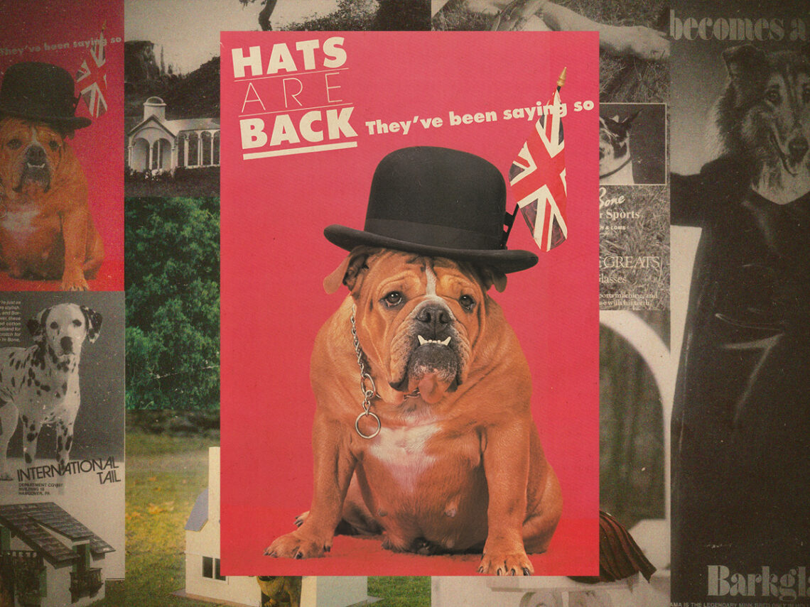 The hilarious dog parody ads of ‘Canine Quarterly’ and ‘Dogue’
