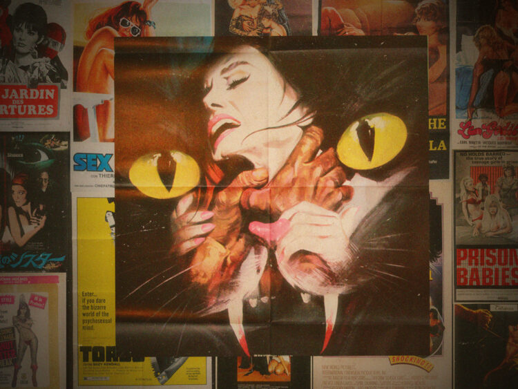The lurid world of cult movie posters