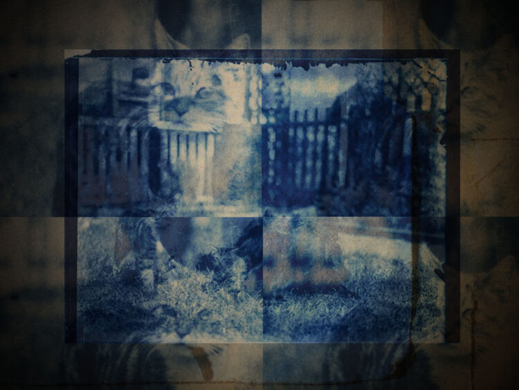 How a 120-year-old photograph shows what we truly have in common