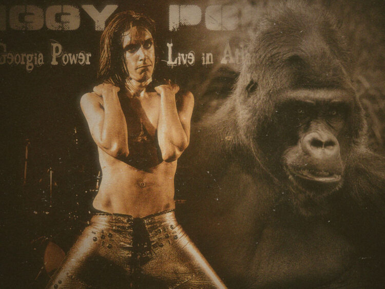 Gorilla Warfare- When Iggy Pop attacked a gorilla onstage