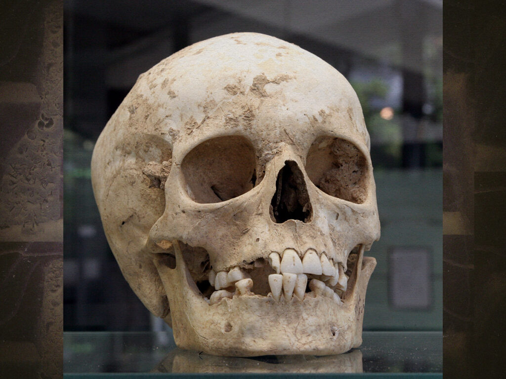 Herxheim- the most disturbing archeological find ever