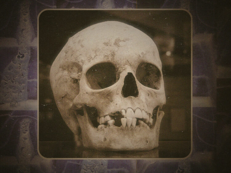 Herxheim- the most disturbing archeological find ever - Dangerous Minds