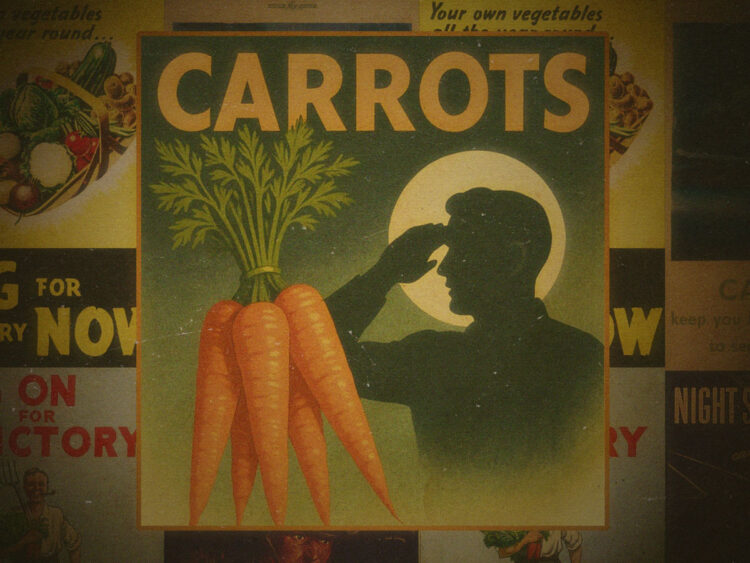 Air strikes and fighter pilots- How Britain sold a lie on carrots