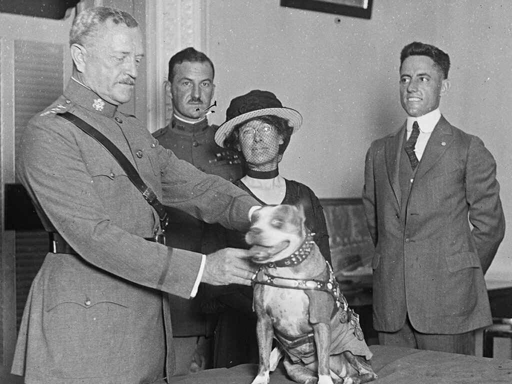 General John J. Pershing awards Sergeant Stubby with a medal in 1921