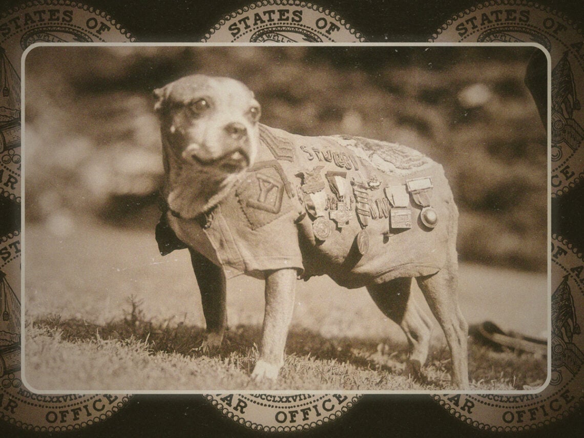 Sergeant Stubby- The most decorated four-legged soldier in WWI
