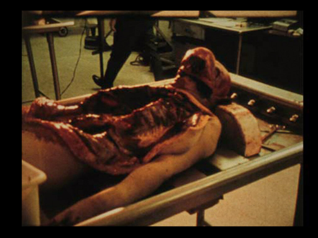 Stan Brakhage- how to confront death in film