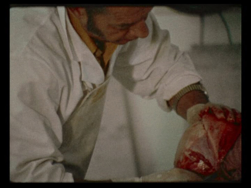 Stan Brakhage- how to confront death in film