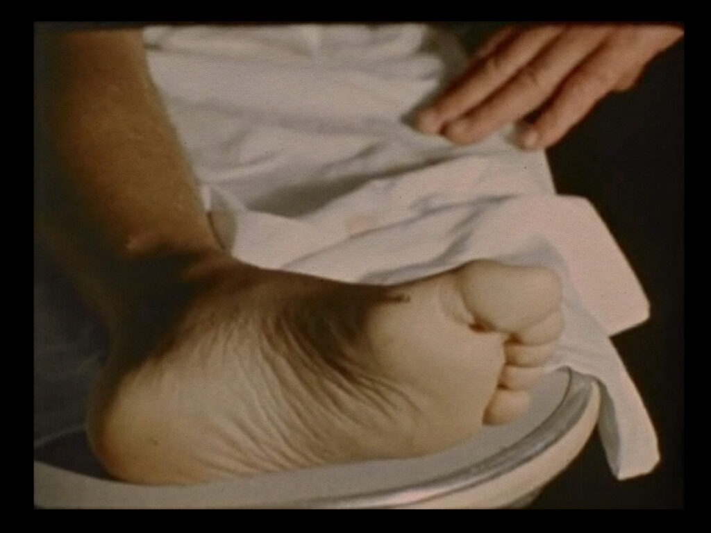 Stan Brakhage- how to confront death in film