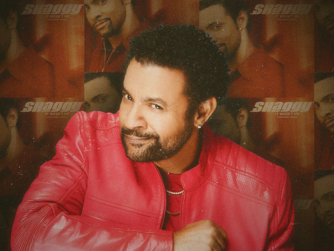 The Shaggy Defense- How a reggae song became a legal strategy