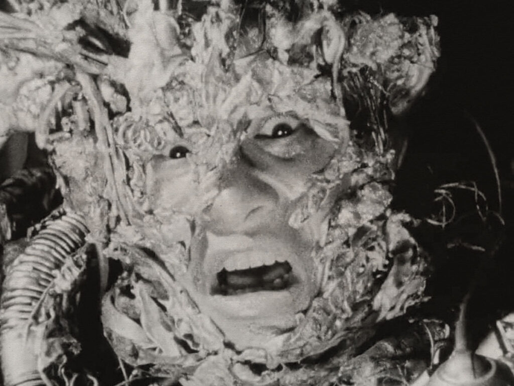 The body horror movie that made the entire crew quit -