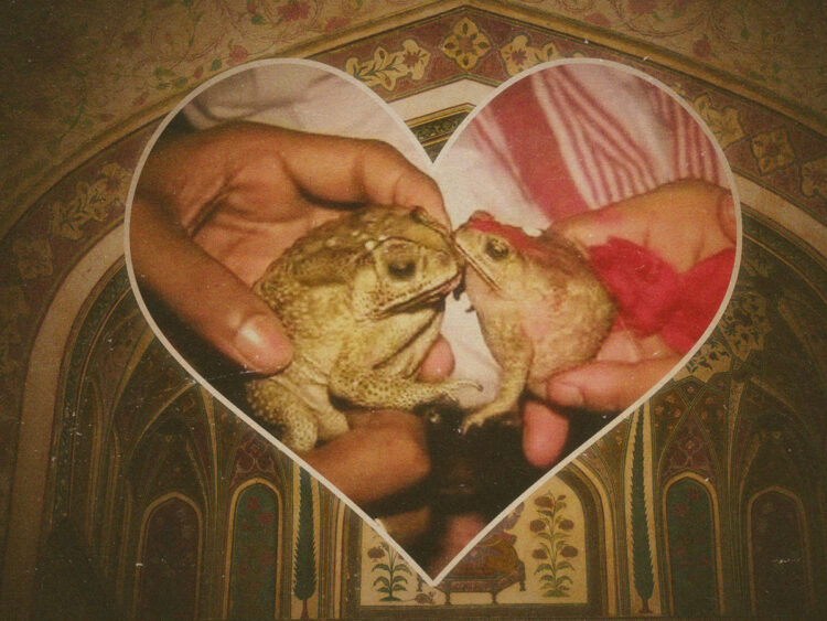 Bhekuli Biya- the Hindu practice of marrying two frogs to make it rain