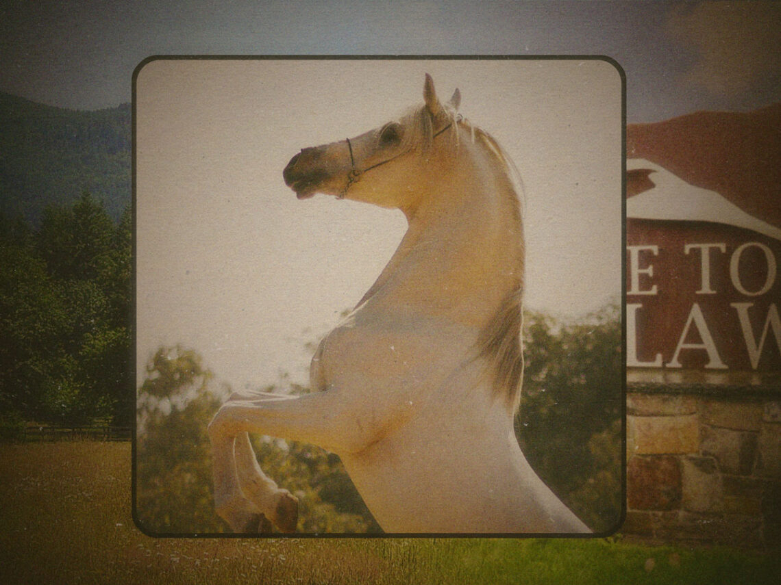 Emunclaw, Washington- the town where you could legally fuck a horse