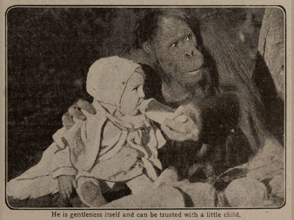 Joe Martin orangutan Picture Show magazine May 15 1920