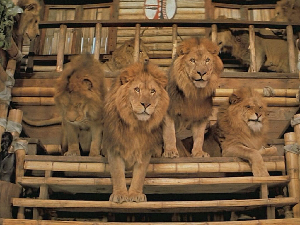 'Roar'- How to nearly kill your family by making a movie