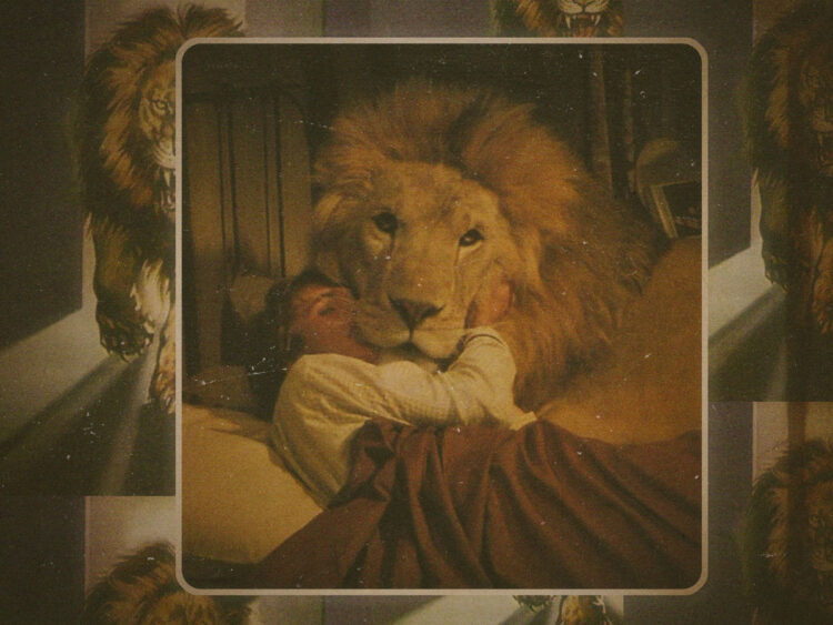'Roar'- How to nearly kill your family by making a movie