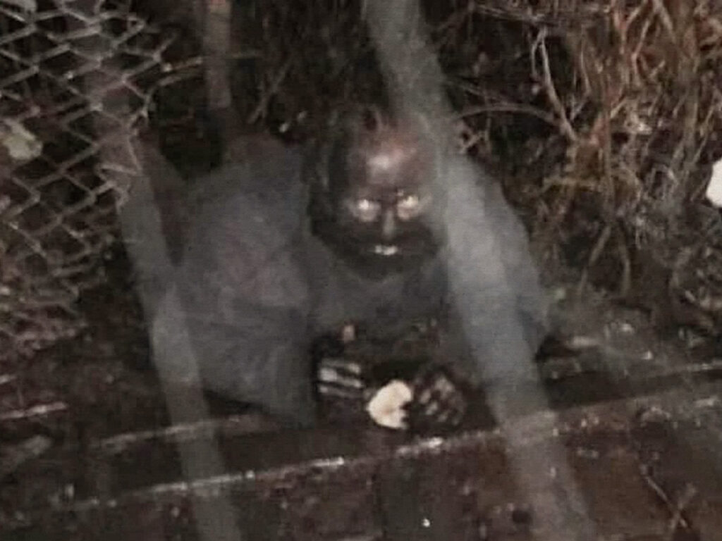 The grim legend of the Cat Man of Greenock