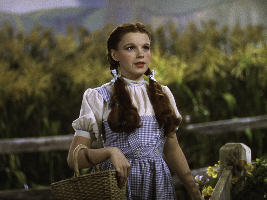 The Gay Community- Who thought there was a real life Dorothy that all gay men were friends with?