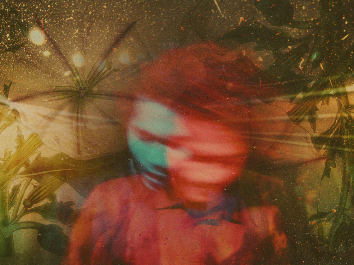 Datura- the drug high you'll never come down from