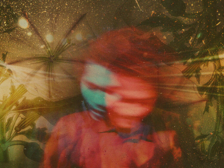 Datura- the drug high you'll never come down from