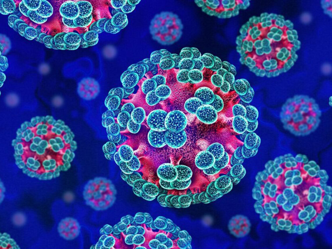 Hantavirus - Disease - Microscrope