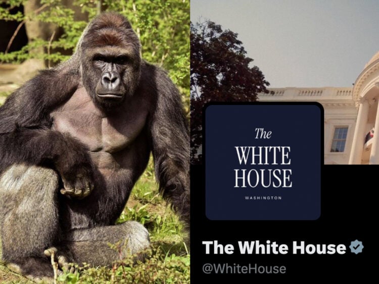 Harambe - The White House - Tribute - 2026
