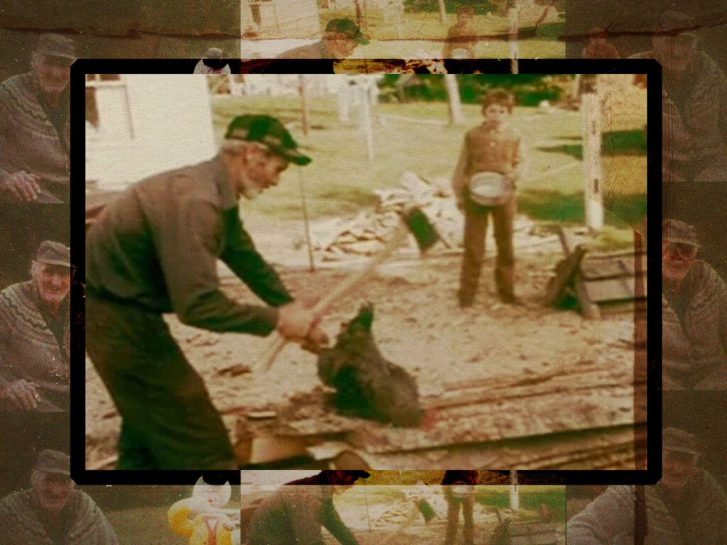 The Hollow The inbred hillbilly hamlet where literally everyones related-