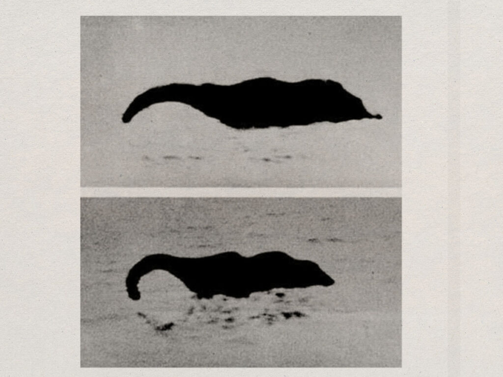 Images taken by ‘Mary F’ and printed in the Falmouth Packet, March 1976.