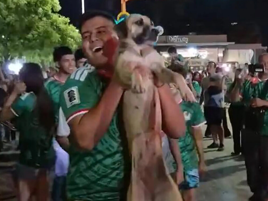 Dog missing for month in Mexico found partying with World Cup fans after team’s win