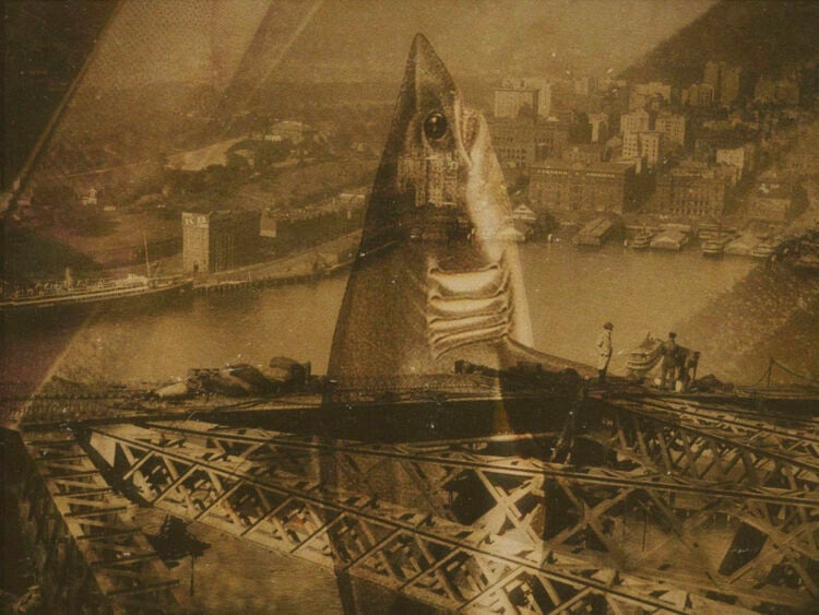 How a vomiting shark nearly took down a Sydney drug ring in 1935 -
