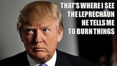 0000trumpwig.jpg
