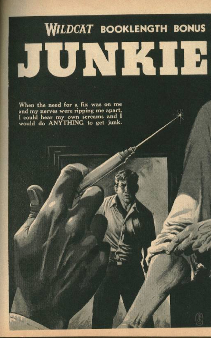 002wildcat_adventures.junkie.jpg