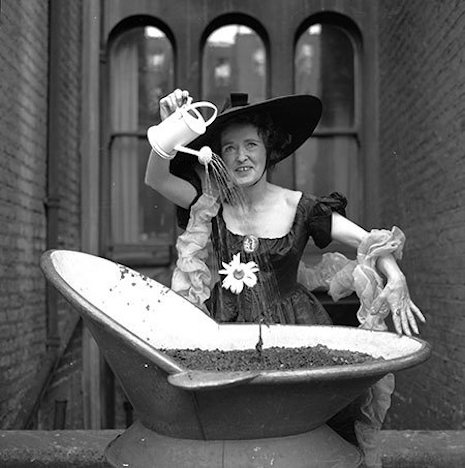 003krsummer1955.jpg