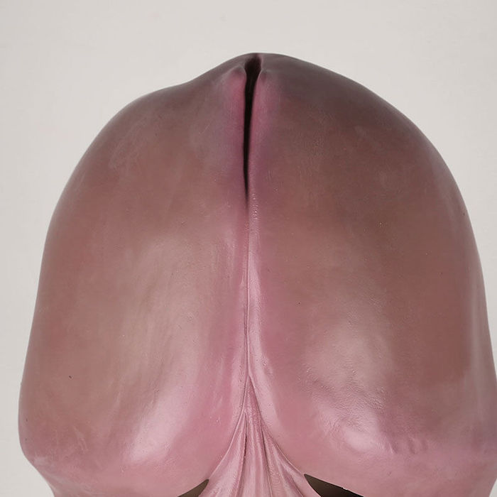 007dickheadmask.JPG