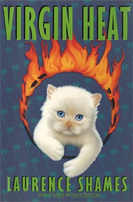 009virgnheat.jpg