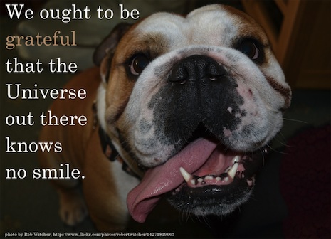 009wernerquotes.jpg