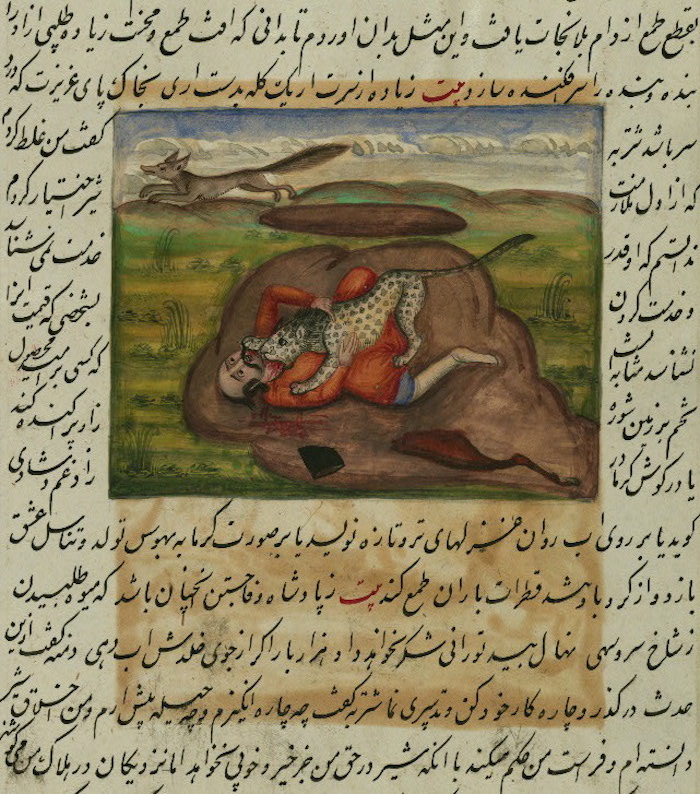 011canopus.jpg