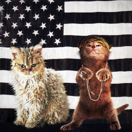 011coutkats.jpg