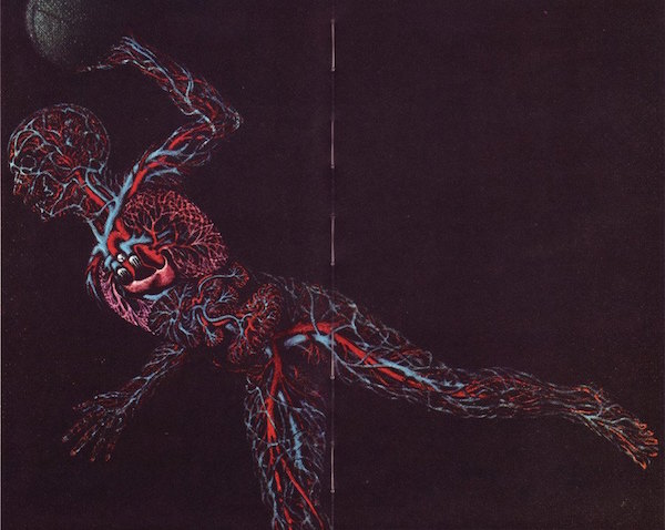 013Le_coeur_et_les_vaisseaux_G_Falk.jpg