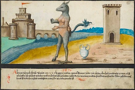 013beasttiber1496.jpg
