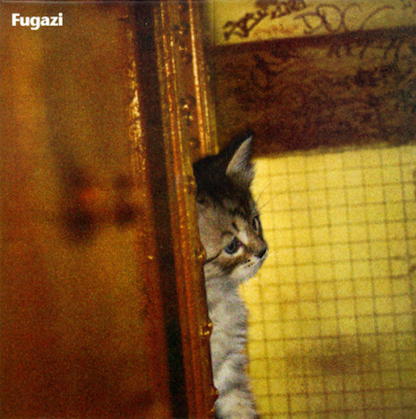 014cfurgazi.jpg