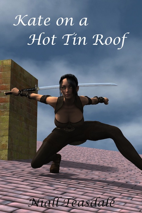 017catroof.jpg